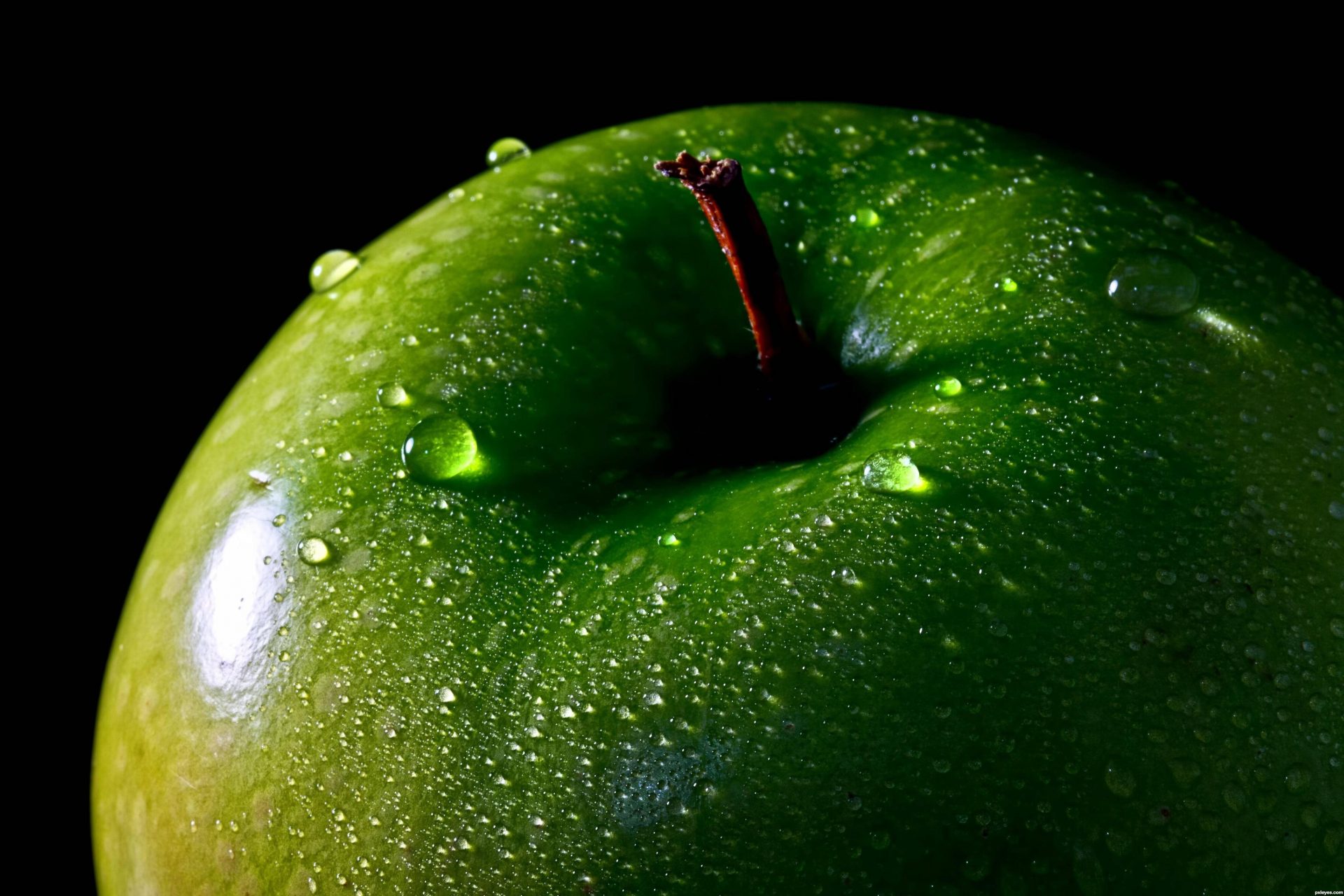 Food Safety Systems