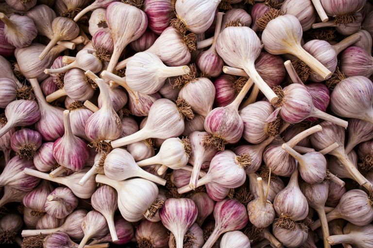 A pile of garlic bulbs