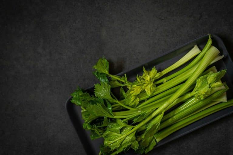 A bunch of celery on a dark tray
