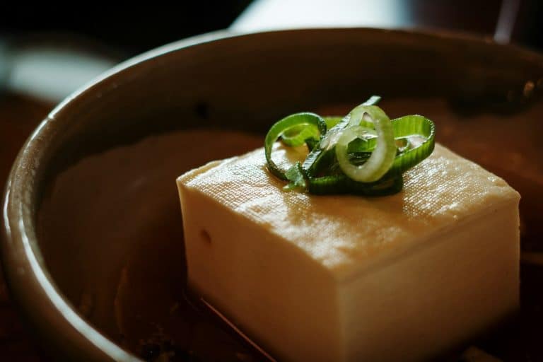 A block of tofu topped with sliced green onion