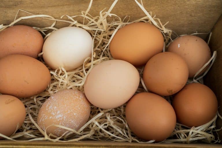 A brown egg resting in a nest