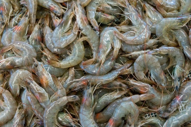 A pile of raw prawns