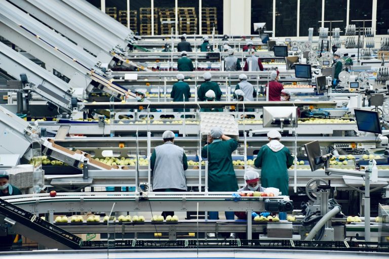Food workers in hygiene clothing and hair coverings stand at rows of conveyors on a fruit packing line.