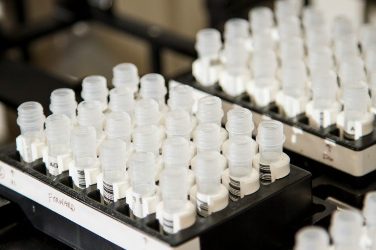 Racks of clean, uniform sample containers lined up in a laboratory.