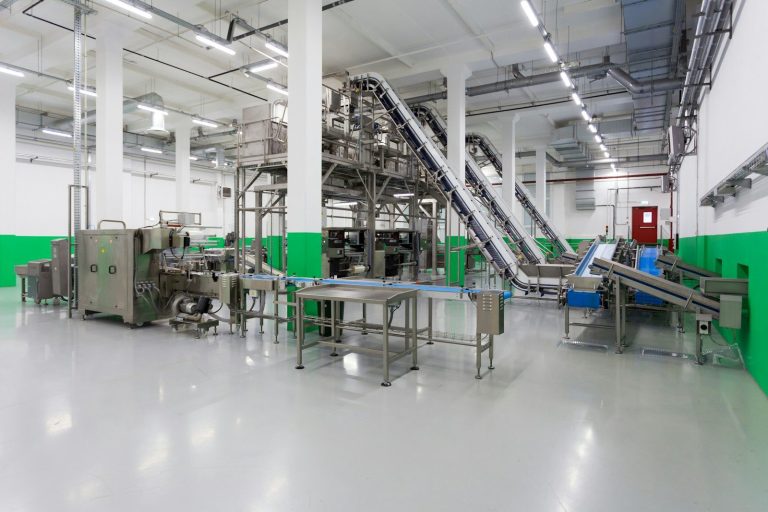 A conveyor line running through a clean food processing hall with stainless steel equipment.