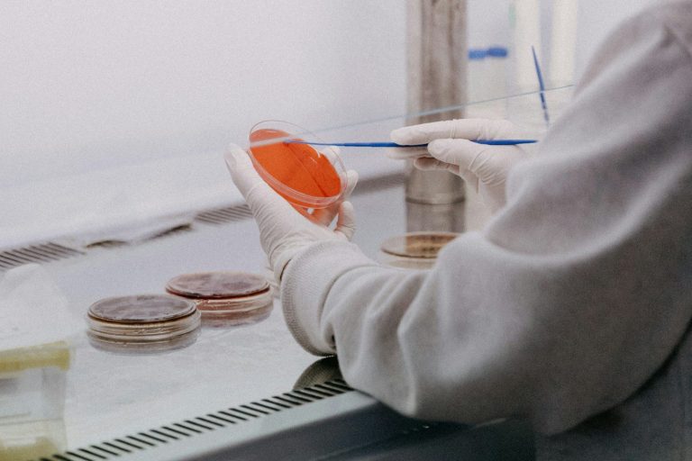 A gloved hand holding a petri dish containing a sample in a laboratory.