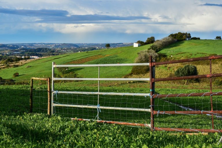 A closed metal gate and fence enclose a green pasture on a food producing farm.