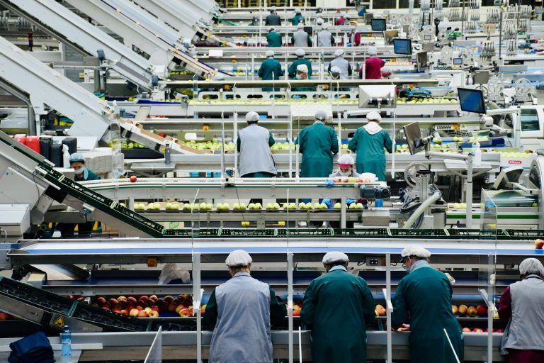 Workers in hairnets and green uniforms inspecting produce on a packing line.